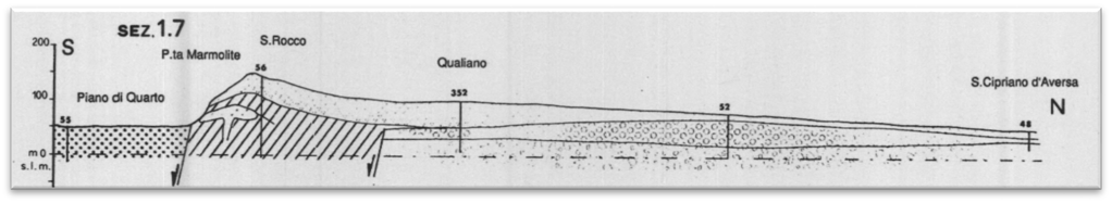 Bellucci (Bellucci, 1994) Figura