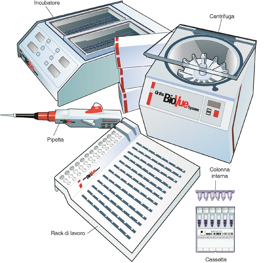 Introduzione Tecnologia CAT Tecnica di Agglutinazione su Colonna (CAT) - Il sistema Ortho Biovue 16 Ortho Biovue si basa sulla tecnologia CAT Facile da utilizzare