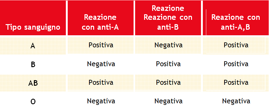 Determinazione del Gruppo Sanguigno ABO Il sistema Ortho Biovue - Determinazione del Gruppo Sanguigno 25 I reagenti Anti-D predispensati nelle colonne delle ORTHO Biovue sono in grado di rilevare la