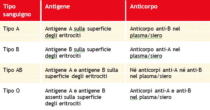 I Gruppi Sanguigni I Gruppi Sanguigni ABO 7 Anticorpi Naturali o Attesi Se sulle cellule è espresso l antigene A, non può essere presente l Anti-A.