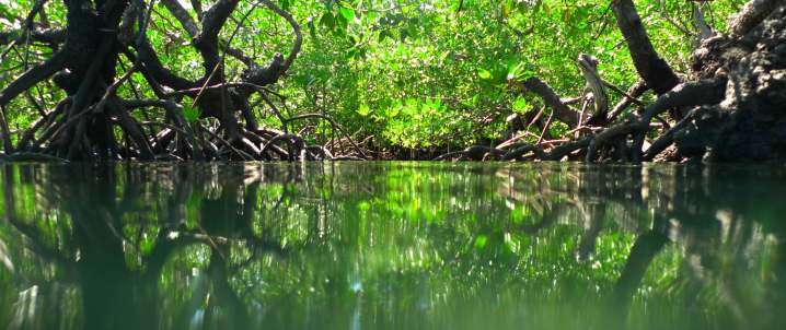 IMMERSIONI L'arcipelago di Bangka è composto da tre isole pricipali, Bangka, Gangga, Talisei e da alcune isolette minori, è situato sul lato north-est di Sulawesi.