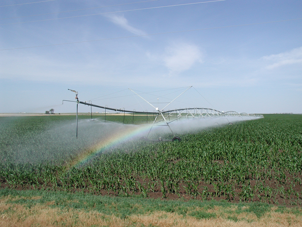 1. L irrigazione 1 mm= 1 L / 1 m 2 Volume gas Volume liquido Impianto a pioggia su Mais Apparato radicale del Mais Volume