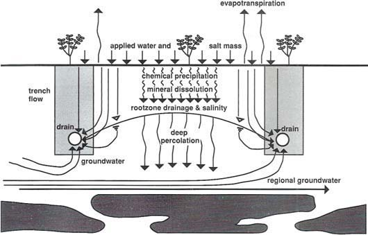 Per limitare questo fenomeno devono essere installati sistemi di drenaggio che mantengano la tavola d acqua (falda) in profondità e quindi limitino il