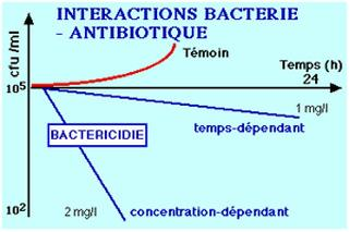 Antibiotici battericidi Aminoglicosidi Chinoloni Glicopeptidi Rifamicine Fosfomicina