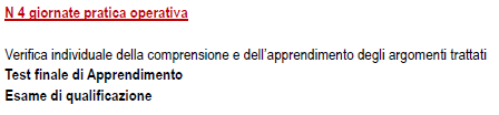 Lezioni teoriche intervallate da intere giornate finalizzate a vedere in