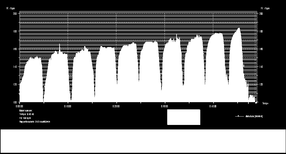 A. L. Tracciato della Frequenza Cardiaca 9 x 1200 + 1 x 800 FIDAL Area