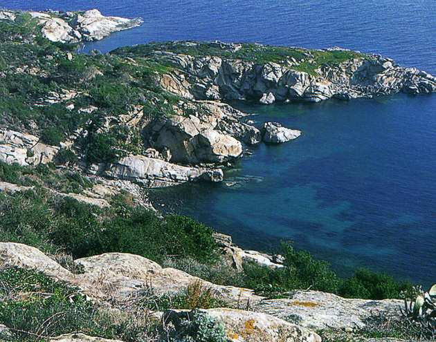 mediterranea Punta
