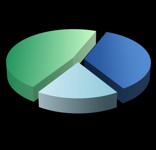 Vendite del Gruppo per area geografica 47% Europa: