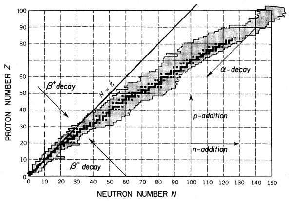 1 a Lezione: Carta dei nuclei stabili Si conoscono circa 1000 diversi nuclei. Solo 300 sono stabili (in nero ) (Numero degli elementi noti, 107). Come si spiega la carta?