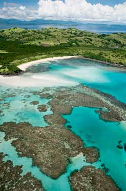 Il WWF si impegna anche in altre regioni del mondo a favore delle aree marine tropicali e dei suoi abitanti: nelle coste orientali e occidentali dell Africa, nelle Galapagos, nelle isole Fuji e nella