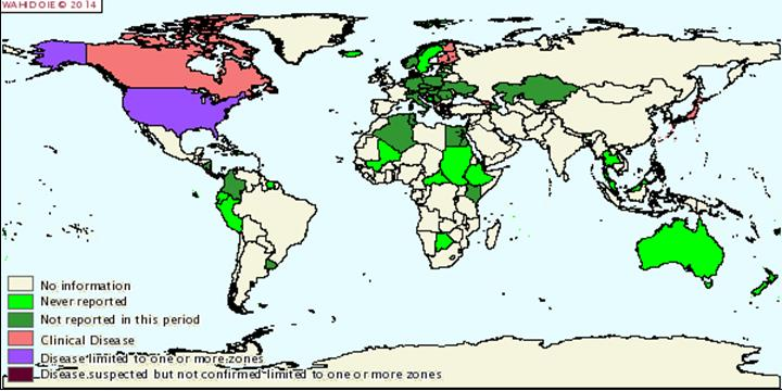 14 SCRAPIE Figura 18: Situazione epidemiologica mondiale per la scrapie tra gennaio e giugno 2013 Figura 19: Situazione epidemiologica mondiale per la scrapie tra luglio e