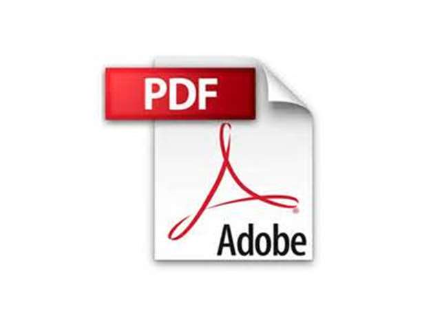 FILE IN PDF PDF