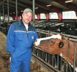 E' migliorato notevolmente il traffico delle vacche. Anders and Katarina Nilsson.