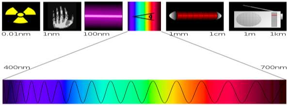 massima sensibilità L'occhio umano, illuminato da luce monocromatica di varia lunghezza d'onda, percepisce i seguenti colori: da 400 a 430 nm: zona del violetto; da 430 a 490 nm: zona del blu nelle