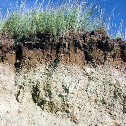 ) Rocce sedimentarie (arenaria, calcare,