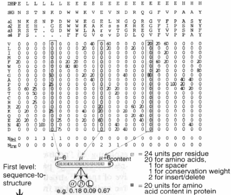 PHD Utilizza in input un profilo proveniente da un allineamento multiplo della sequenza di cui si vuole determinare la struttura secondaria con le proteine con cui