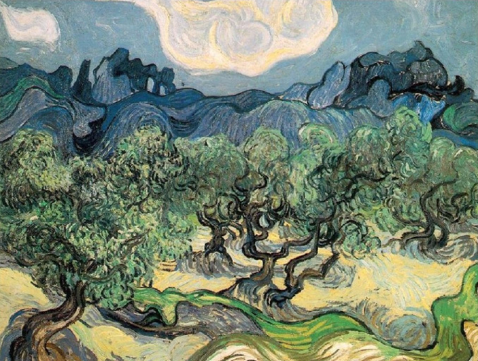 Vincent Van Gogh L uliveto
