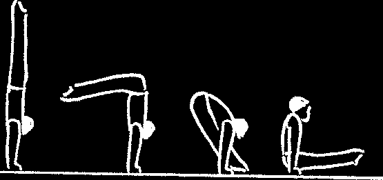 105 Handspring fwd take-off from one leg or Flyspring 9)'-0&#A57B#85,B&C* ELEMENTI ACROBATICI fwd take-off from both legs with or without hecht/(01102