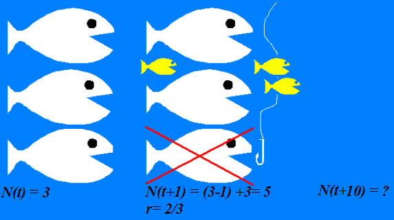 Cosa significa fare un modello matematico?