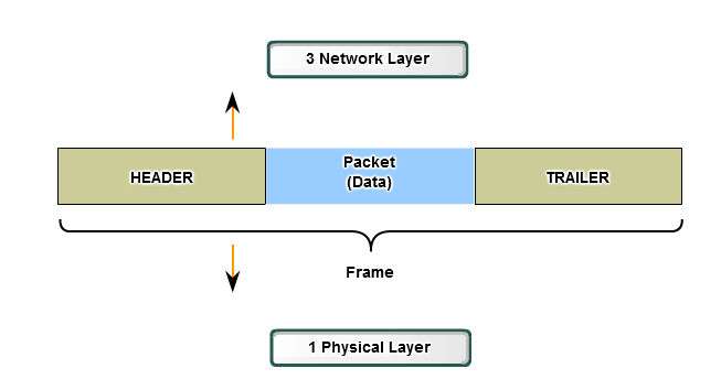 Framing Questo livello si occupa, in trasmissione, di formattare i dati da inviare attraverso il livello fisico, incapsulando il pacchetto proveniente dal livello di rete, in una trama o frame