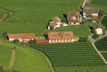Bolzano Adige pascoli, coltivazione a foraggio agricoltura