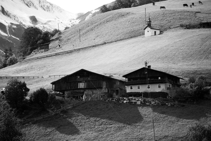 FORMAZIONE PROFESSIONALE 22 4 In Alto Adige si contano attualmente circa 25.000 masi contadini, in cui si allevano in totale circa 150.000 bovini, 40.000 pecore, 15.000 capre, 5.000 cavalli, 15.