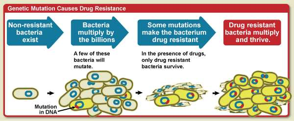 Resistenza acquisita: Mutazione cambiamento nel DNA che comporta modifica o sostituzione del target I batteri si moltiplicano in modo esponenziale (miliardi).