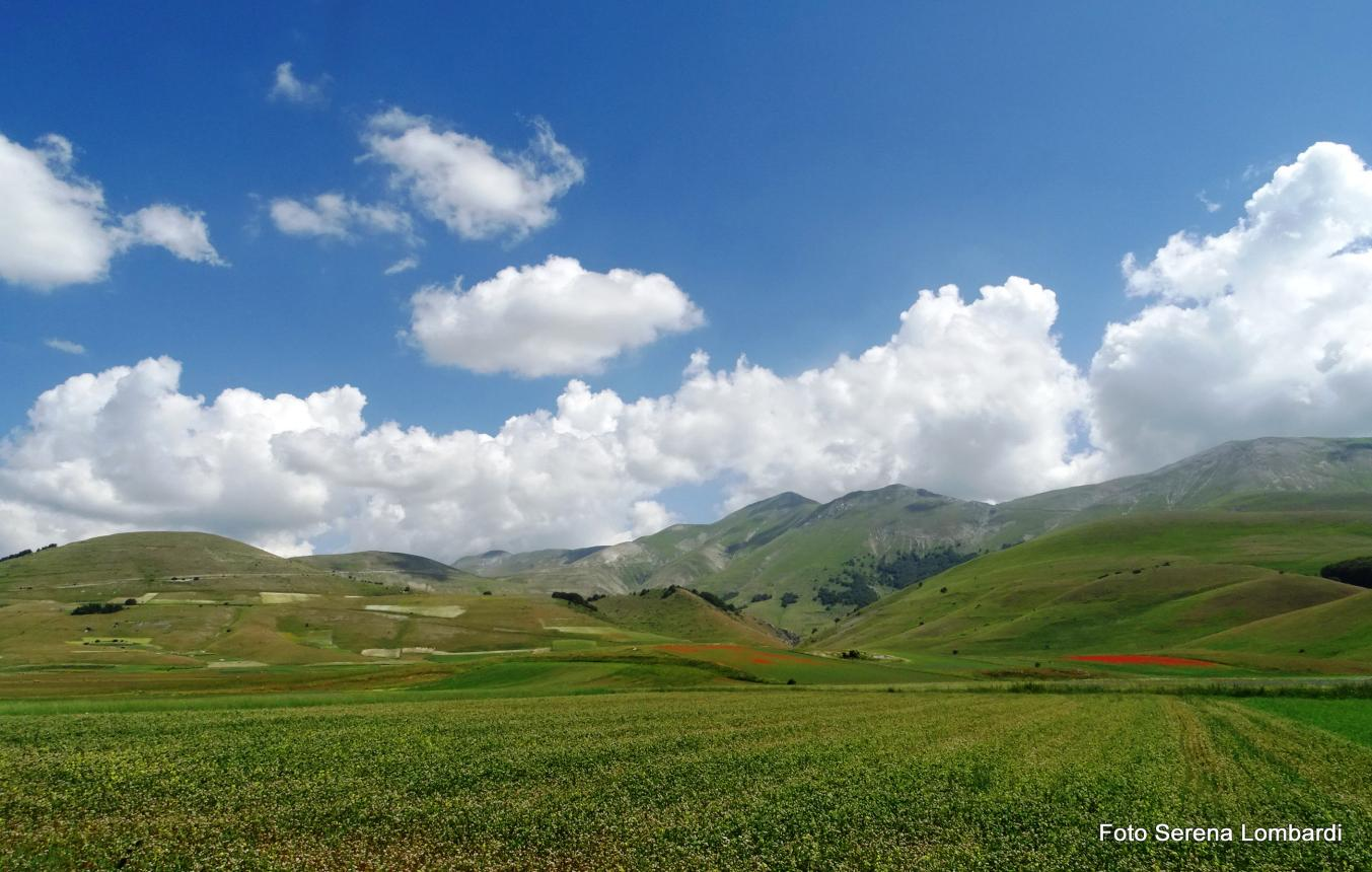 I Piani di Castelluccio occupano circa 15 km 2, rappresentati principalmente dal Pian Grande e dal Pian Perduto sui quali spicca il Monte Vettore metri 2478, uno dei più alti monti dell'appennino