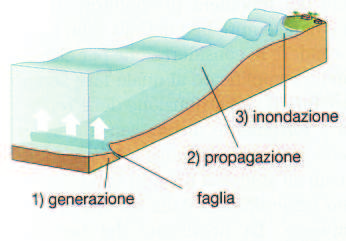 Gli tsunami Sono onde altissime generate da terremoti sottomarini.