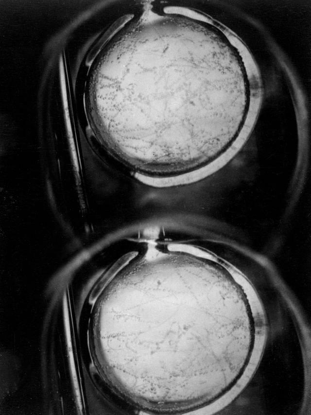 La camera a bolle La camera a bolle è stata inventata nel 1952 da D. Glaser. E un rivelatore a ionizzazione.