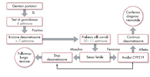 Gestione prenatale Durante la gravidanza successiva la madre ha praticato uno screening prenatale per SAG tramite villocentesi L indagine è risultata positiva per