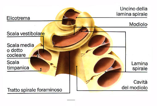 EMISSIONI