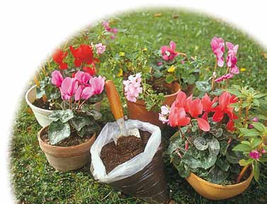 I vantaggi del compostaggio 1 2 3 Garantisce la fertilità del suolo fornendo un fertilizzante naturale, utilizzabile nell orto, in giardino e per le piante in vaso.