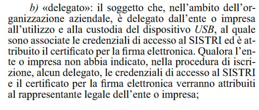 La figura del delegato Chi è il delegato? Art. 1 Dm 52 del 18.02.2011 Quanti delegati possono esserci?