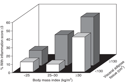 BMI, tessuto adiposo viscerale ed infiammazione Inflammation score: