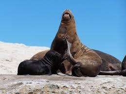 In mattinata escursione al Parco Nazionale della Tierra del Fuego.