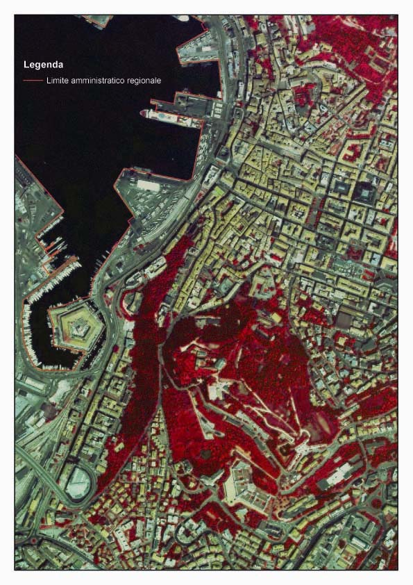 Il Patrimonio Cartografico della