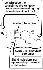 La penicillina rimane il farmaco di scelta per le infezioni streptococciche e meningococciche e la sifilide.