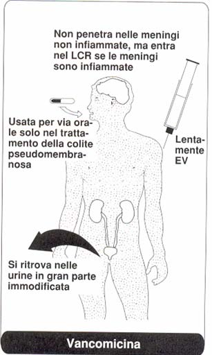 Battericida Uso rivolto al trattamento delle infezioni sostenute da stafilococchi resistenti alla meticillina, nella colite