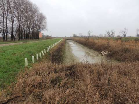 viene a crearsi una zona di rifugio per anfibi, pesci ed invertebrati in canali a rischio di