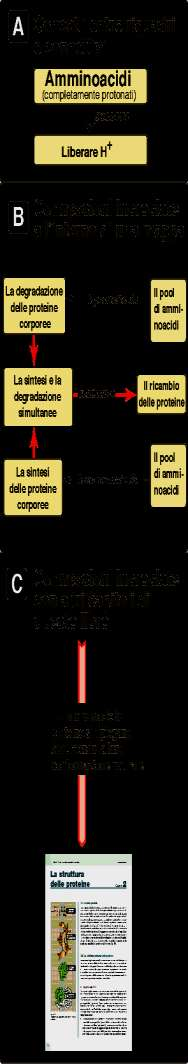 Come si costruisce una mappa concettuale?