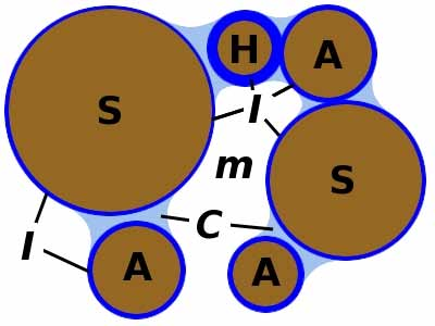 imbibizione H= humus C=