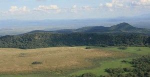 La riserva di Arusha Questa piccola riserva (137 km2) vicino la città di Arusha (1 ora di auto), è paesaggi vari e belli.