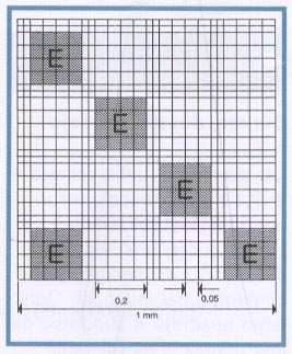 Il largo quadrato centrale è suddiviso in 16 quadrati con lati da 0,2 mm.