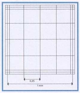 superficie di 16 mm 2. Il reticolo è formato da 16 larghi quadrati di 1 mm 2.
