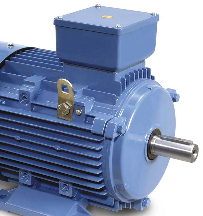 I motori sono verniciati. Three-phase induction motors MC type The asynchronous three-phase have been specifically designed with use at variable speed, torque and power in mind.