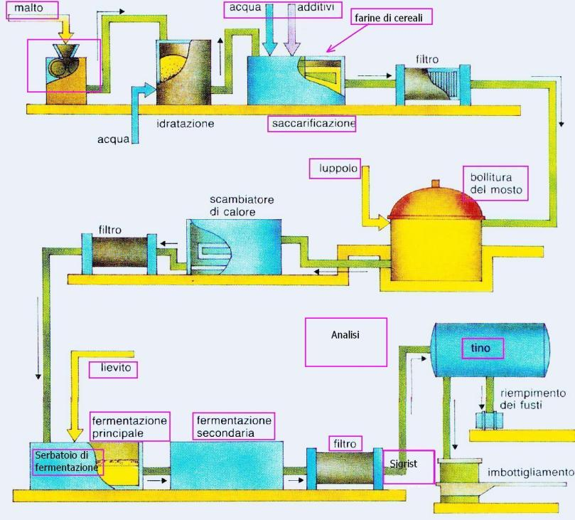 Macinazione del malto (a umido o a secco) Preparazione del mosto 50-70 C Cottura del mosto (+ luppolo) 1 ora a