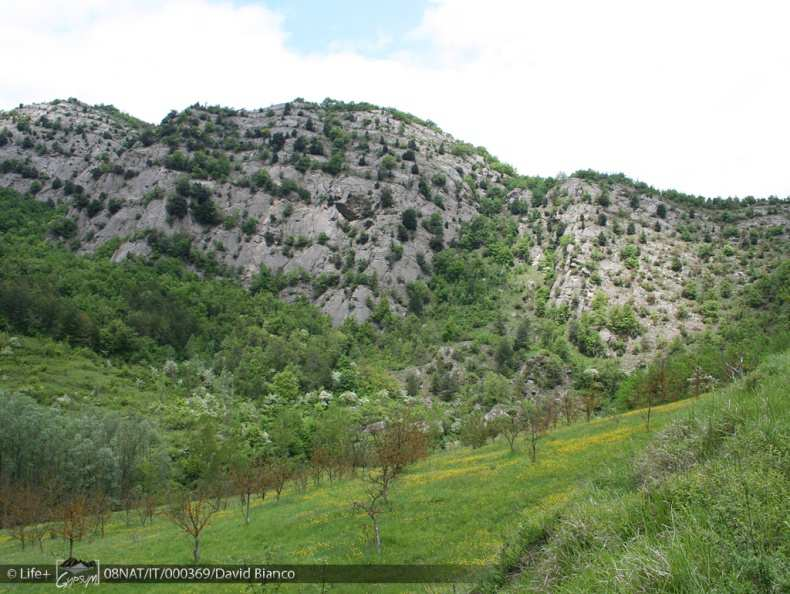 Descrizione della cavità: Grotta di massima importanza e di rilevanza generale.