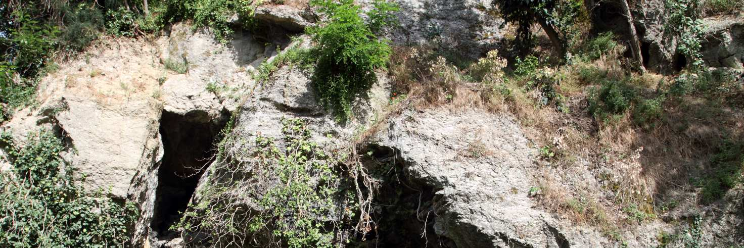 Figura 6.94: Ingresso della Grotta del Fabbro (ER BO 76) (Foto di F. Grazioli).