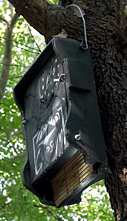 La parte superiore della cassetta ha una conformazione concava, la quale fornisce un posatoio ideale per i pipistrelli.